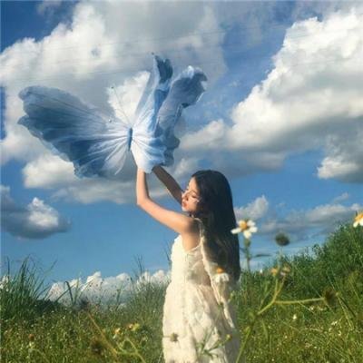 追鱼传奇